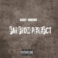 Far from Perfect - Single by Gary Junior album reviews, ratings, credits