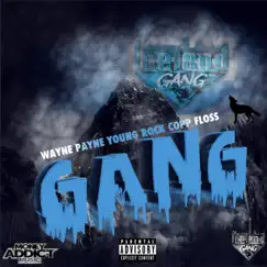Gang (feat. CoppFloss & WaynePayne) - Single by Youngrock album reviews, ratings, credits