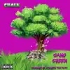 Gang Green - Single album lyrics, reviews, download