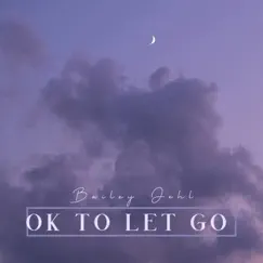 Ok To Let Go - Single by Bailey Jehl album reviews, ratings, credits