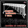Marimba En Concierto album lyrics, reviews, download