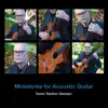 Miniatures for Acoustic Guitar album lyrics, reviews, download
