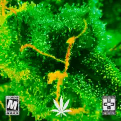 Trichomes (feat. DIVINCHI, Juan Carlos & Tim Woods) - Single by DOC STRAINS album reviews, ratings, credits