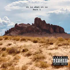 It Is What It Is, Part 1 - Single by Playboy Ronnie album reviews, ratings, credits