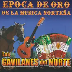 Época de Oro de la Música Norteña: Mujer Paseada by Los Gavilanes del Norte album reviews, ratings, credits