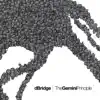 The Gemini Principle album lyrics, reviews, download
