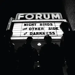 The Other Side of Darkness by Night Birds album reviews, ratings, credits