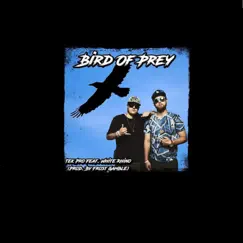 Bird of Prey (feat. White Rhino) - Single by Tek Pro album reviews, ratings, credits