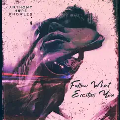 Follow What Excites You - Single by Anthony Hope Knowles album reviews, ratings, credits