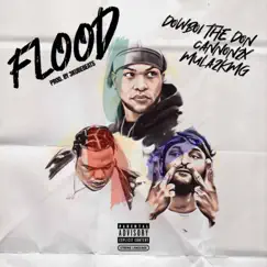 Flood (feat. Mula2KMG & Cannon 2x) - Single by DowBoi the Don album reviews, ratings, credits