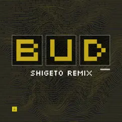 BUD (feat. Kesswa) [Shigeto Remix] Song Lyrics