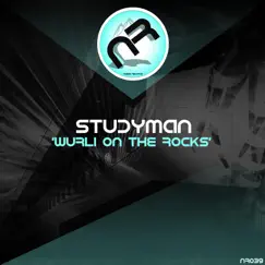 Wurli on the Rocks - Single by Studyman album reviews, ratings, credits