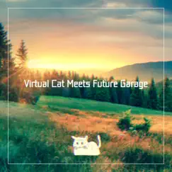 Virtual Cat Meets Future Garage by Virtual Cat album reviews, ratings, credits