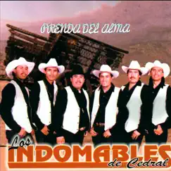 Prenda Del Alma - Single by Los Indomables De Cedral album reviews, ratings, credits