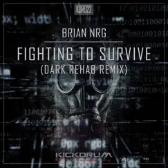 Fighting to Survive (Dark Rehab Remix) - Single by Brian NRG album reviews, ratings, credits