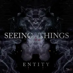 Entity - Single by Seeing Things album reviews, ratings, credits