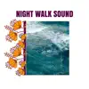 Night Walk Sound - Single album lyrics, reviews, download