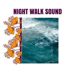 Night Walk Sound - Single by Water in the Earth album reviews, ratings, credits