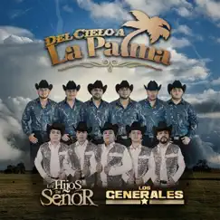 Del Cielo a la Palma - Single by Los Hijos Del Señor & Grupo Los Generales album reviews, ratings, credits