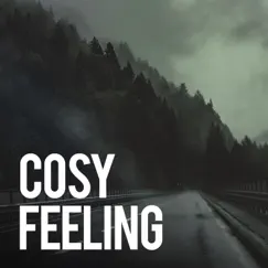 Cozy Feeling by Rain Sounds & White Noise album reviews, ratings, credits