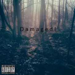 Damaged! Song Lyrics