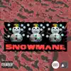 Snowmane (feat. shores444, Hollow.Soul & Konsume Us) - Single album lyrics, reviews, download