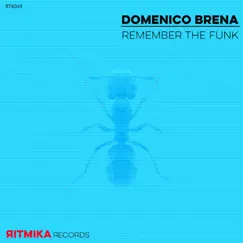 Remember the Funk - Single by Domenico Brena album reviews, ratings, credits