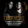 Evidencias - Single album lyrics, reviews, download