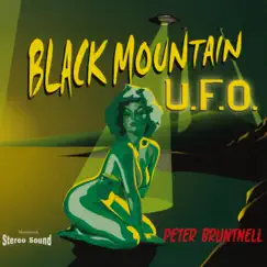 Black Mountain U.F.O. by Peter Bruntnell album reviews, ratings, credits