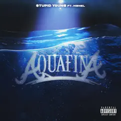 Aquafina (feat. MB Nel) Song Lyrics