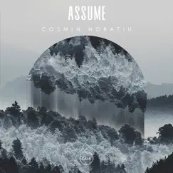 Assume - Single by Cosmin Horatiu album reviews, ratings, credits