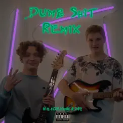 Dumb Shit (Remix) Song Lyrics