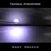 Tranquil Atmosphere - Single album lyrics, reviews, download