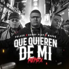 Que Quieren de Mi (feat. Polaco & Mauro) [Remix] - Single by Danny Play album reviews, ratings, credits