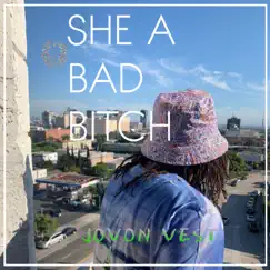 She a Bad Bitch - Single by Jovon Vest album reviews, ratings, credits