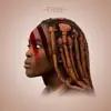 Tribe - Single album lyrics, reviews, download