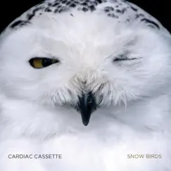 Snow Birds - Single by Cardiac Cassette album reviews, ratings, credits