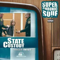 State Custody Song Lyrics