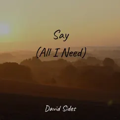 Say (All I Need) - Single by David Sides album reviews, ratings, credits