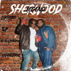 Sherwood Legend Song Lyrics