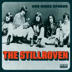 Too Many Spaces by The Stillroven album reviews, ratings, credits