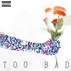 Too Bad - Single by Ping album reviews, ratings, credits