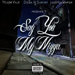 Say You My Nikka (feat. Lil Koo & Lil E) - Single by Loco Foundation album reviews, ratings, credits