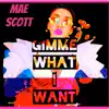 Gimme What I Want song lyrics