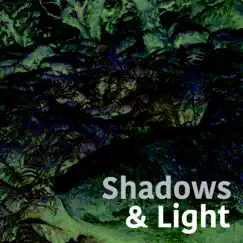 Shadows & Light - Single by Paul Hogg album reviews, ratings, credits