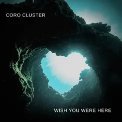 Wish You Were Here - Single by Coro Cluster - Associazione SkÁ album reviews, ratings, credits