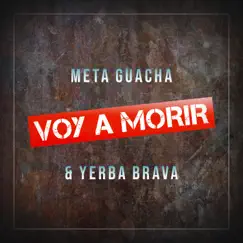 Voy a Morir - Single by Meta Guacha & Yerba Brava album reviews, ratings, credits