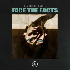 Face the Facts - Single by Shards of Narsil album reviews, ratings, credits