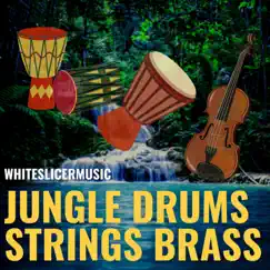 Jungle Drums Strings Brass Song Lyrics