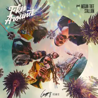 Download Fkn Around (feat. Megan Thee Stallion) [Cuppy Remix] Phony Ppl MP3